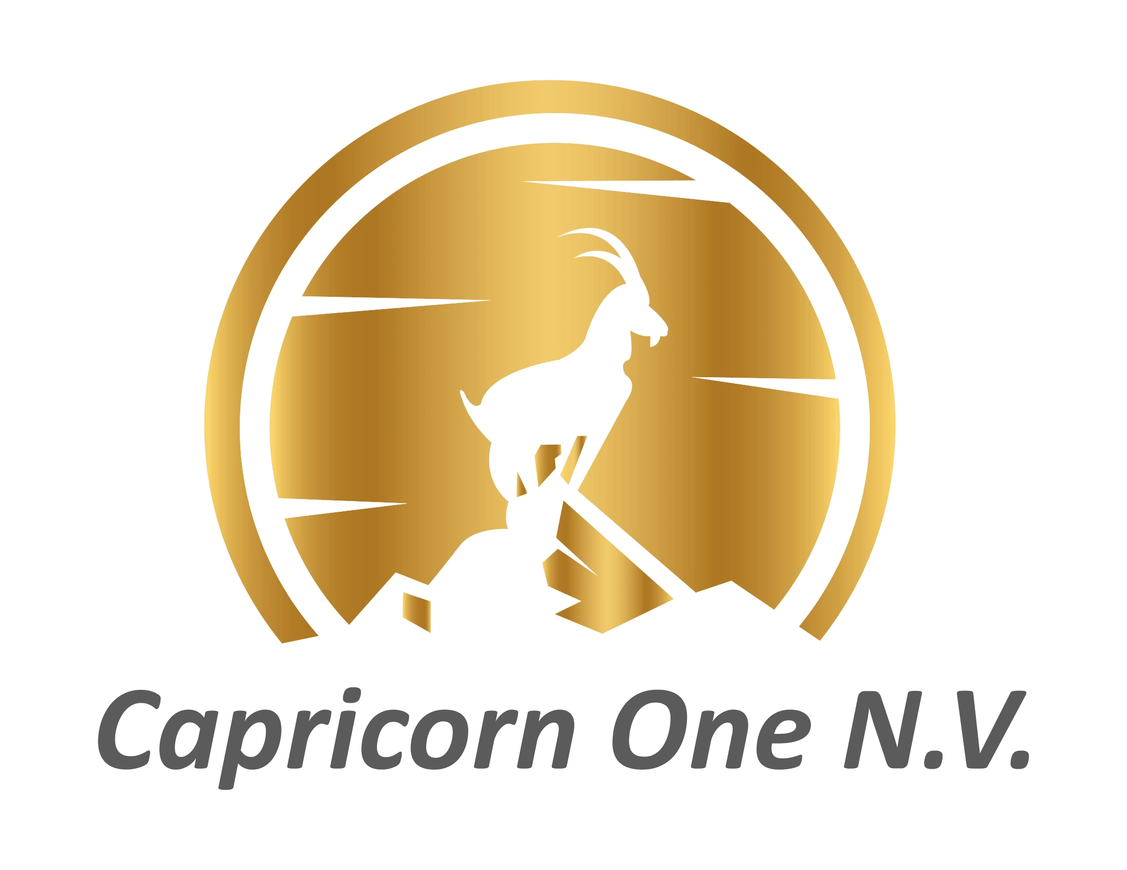 Capricorn One N.V.